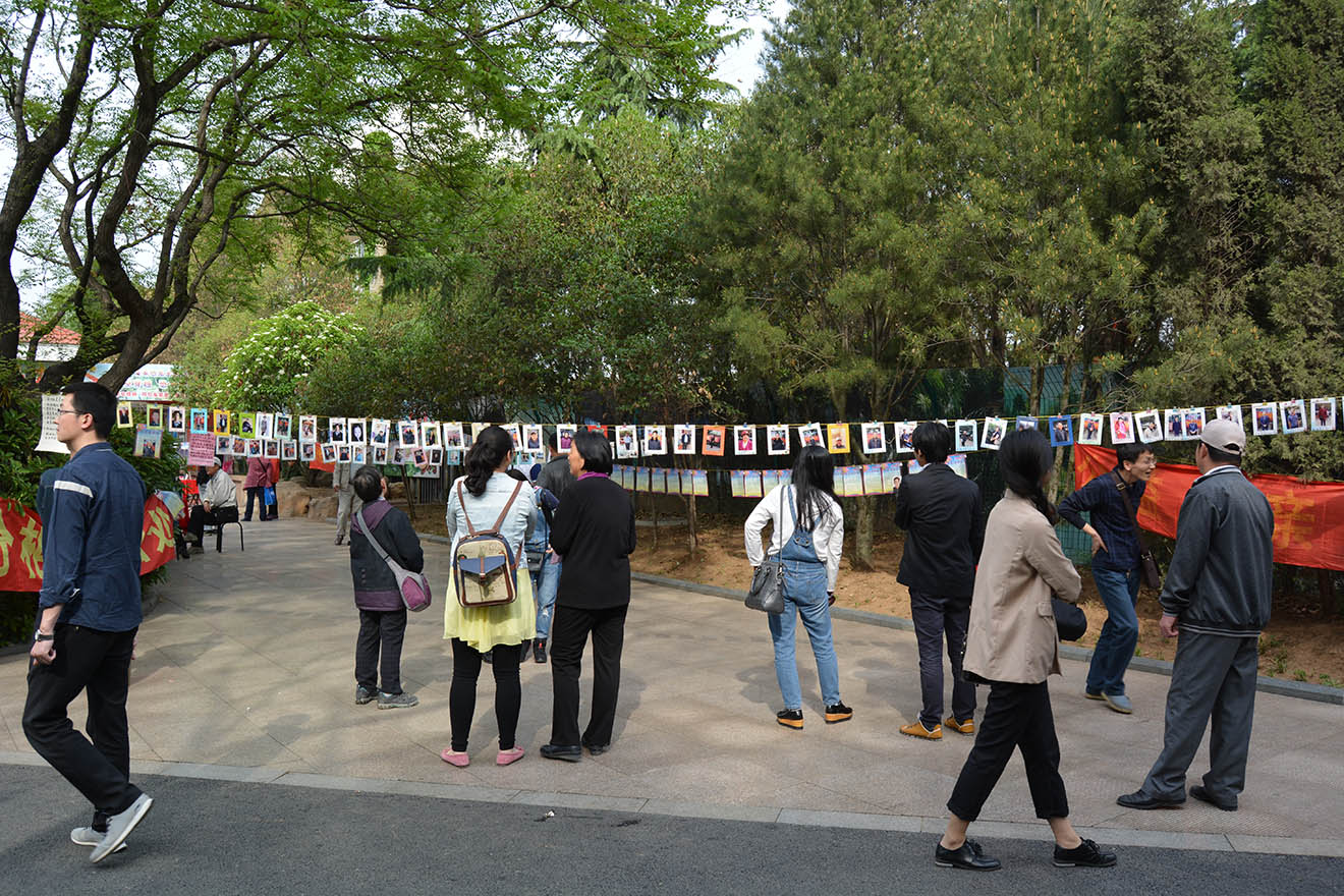 People looking at pictures hanging in a street.